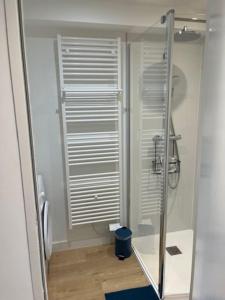 a bathroom with a shower with a glass door at Le Bubble - Centre Ville - La Bonne Marienne in Angers