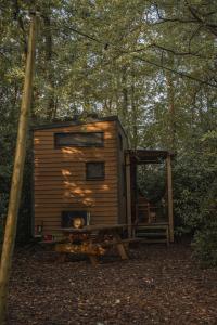 una pequeña cabaña de madera en medio de un bosque en TinyParks Forest Cabins, en Hoogersmilde