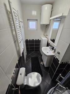 een kleine badkamer met een wastafel en een toilet bij L&V Apartmani in Novi Grad