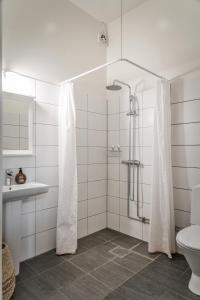 a bathroom with a shower and a toilet and a sink at Vita Huset på Österlen in Gärsnäs