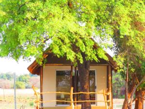 una casa en el árbol bajo un árbol en Zambezi King Fisher Lodge en Katima Mulilo