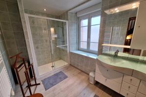 ein Bad mit einer Dusche, einem Waschbecken und einem Spiegel in der Unterkunft Gîte La Mulotière 