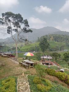 Bilde i galleriet til Gunung bangku ciwidey rancabali camp i Ciwidey