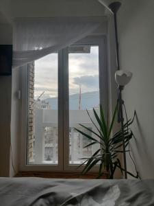 Φυσικό τοπίο κοντά σε αυτό το διαμέρισμα