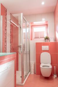y baño de color rosa con aseo y ducha. en Celje Center Apartment, en Celje