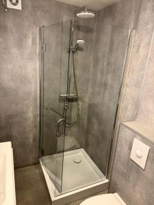 een douche met een glazen deur in de badkamer bij Akureyri Backpackers, Hafnarstraeti 100 - Apartment for 4 in Akureyri