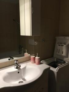 錫納亞的住宿－Apartament Stanca Piticului，一间带水槽和镜子的浴室