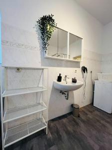 a bathroom with a sink and a mirror and a shelf at Monteurswohnung an der Mulde in Döbeln