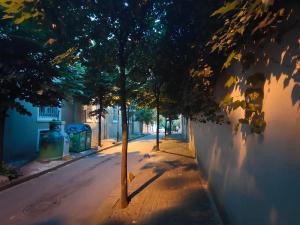 a street with trees on the side of a building at tidy 1BR apt near to nisantasi and Taksim #302 in Istanbul