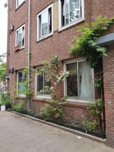 een bakstenen gebouw met ramen en planten erop bij Appartement met 2 slaapkamers en tuin in Amsterdam in Amsterdam
