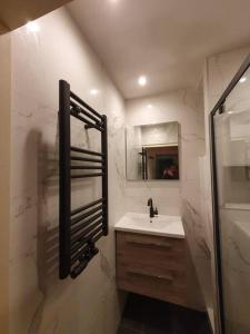 een badkamer met een wastafel en een douche met een spiegel bij Appartement met 2 slaapkamers en tuin in Amsterdam in Amsterdam