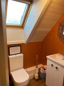 a bathroom with a toilet and a sink at Alltcreich in Craignure