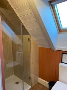 a bathroom with a glass shower in a attic at Alltcreich in Craignure