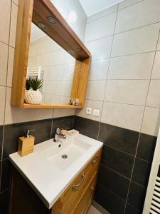 bagno con lavandino e specchio di La maison de Rochefuret a Ballan-Miré