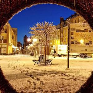 Apartament z Napoleonem w tle v zimě