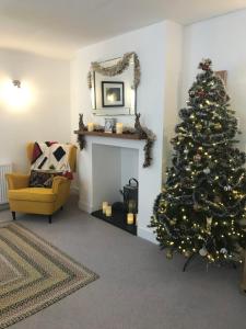 Gallery image of Paradise Lawn in South Molton