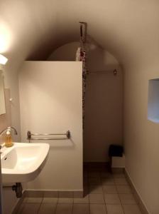 a bathroom with a sink and a toilet and a mirror at Maison familiale du Clos Saint Roch in Viviers
