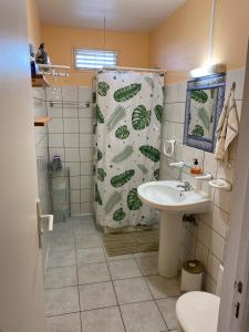 bagno con tenda per la doccia e lavandino di La Villa Davy a Ducos