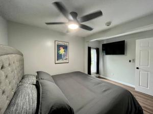 Televisyen dan/atau pusat hiburan di 5 Bed / 3 bath Apt Near Jiminy Peak Berkshires