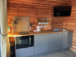 cocina con encimera con microondas y TV en Lakeside Fishing Retreats, en Boston