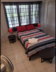 a bed with red pillows in a room with a window at Caribbean Dreams in Mayaguez