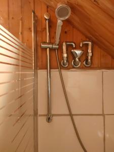La salle de bains est pourvue d'une douche avec un pommeau de douche. dans l'établissement Ferienwohnung Burmester, à Wittenborn