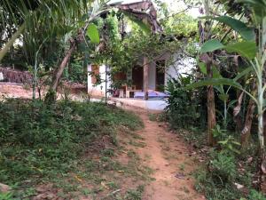 un camino que conduce a una casa en el bosque en The Bright Houses en Moreré