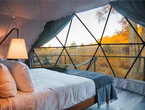 1 cama en una tienda con ventana grande en Pagosa River Domes, en Pagosa Springs