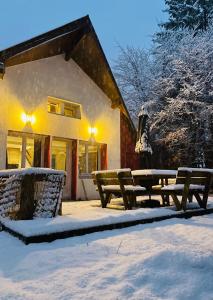 梅塔比耶的住宿－Chalet cosy avec vue dégagée，建筑物前雪地里一群长椅