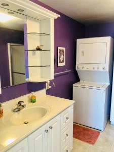 ein Bad mit einem Waschbecken und einem Kühlschrank in der Unterkunft The Wellington Lake Cottage in Middlebury