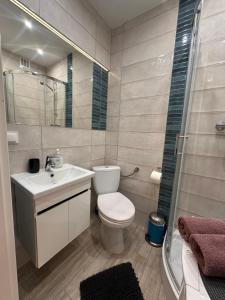 een badkamer met een toilet, een wastafel en een douche bij Nice Stay Apartment Centrum in Warschau
