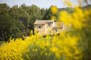 Příroda nedaleko vily