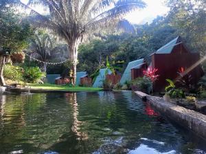 un estanque en un jardín con casas y palmeras en Sierra Jungla, en Minca