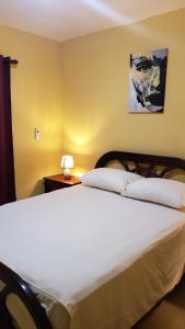 a bedroom with a large white bed in a room at Petite Lounge in Los Paredones
