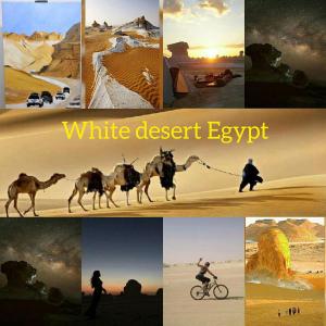 un collage de fotos con un hombre montando una bicicleta y un camello en safari desert en Bawati
