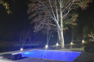 a tree and a swimming pool at night at 4 Fish Eagle Lodge in Sasolburg