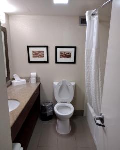 a bathroom with a toilet and a sink at Briarwood Inn in Jackson