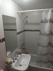 La salle de bains est pourvue d'un lavabo et d'un rideau de douche. dans l'établissement DEPTO 2 Y 62 CON COCHERA PROPIA, à La Plata