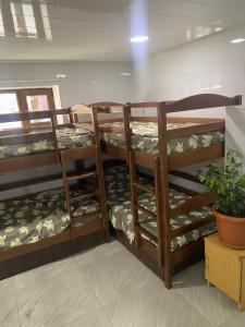 Habitación con 3 literas y una maceta. en STYLE Hostel en Ereván