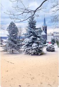 two christmas trees covered in snow with a church in the background at Apartament u Danusi in Złoty Stok