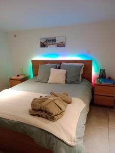 a bedroom with a bed with blue lights on it at Le Cosy Cabarieu in Saint-André-de-Cubzac