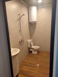 a bathroom with a shower and a toilet and a sink at Apartments Alexandra in Opanets