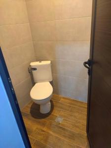 a bathroom with a white toilet in a room at Apartments Alexandra in Opanets
