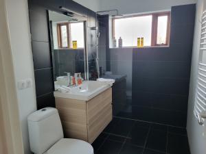 een badkamer met een wastafel, een toilet en een spiegel bij Guesthouse Maximilian in Keflavík