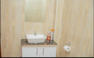 a bathroom with a white sink and a mirror at The pine 2 bedroom house California plaza in Nanyuki