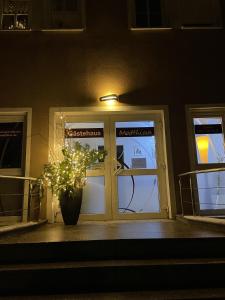 a potted plant sitting in front of a door at Apartments und Zimmer Gästehaus Matthias in Dresden