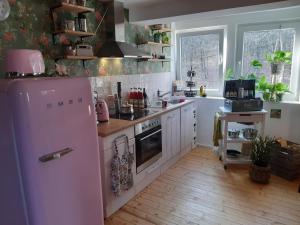 cocina con nevera rosa y encimera en Individuelle stilvolle Maisonettewohnung mit zwei Schlafzimmern, zwei Bädern und Sauna am Rothaarsteig en Hilchenbach