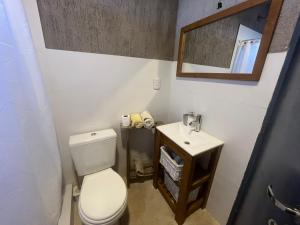 a bathroom with a toilet and a sink and a mirror at Wabi sabi, casita de montaña con pileta in Mendoza +49 photos