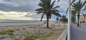 una playa con palmeras y una acera en cultura y playa, en Puerto Sagunto