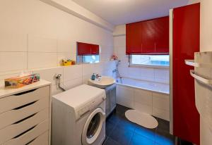 La salle de bains est pourvue d'un lave-linge et d'un lavabo. dans l'établissement Gare - Sweet & Cosy Home, à Strasbourg